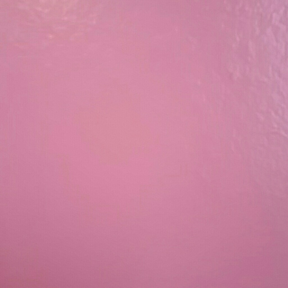 Meet your Posher, Alexa